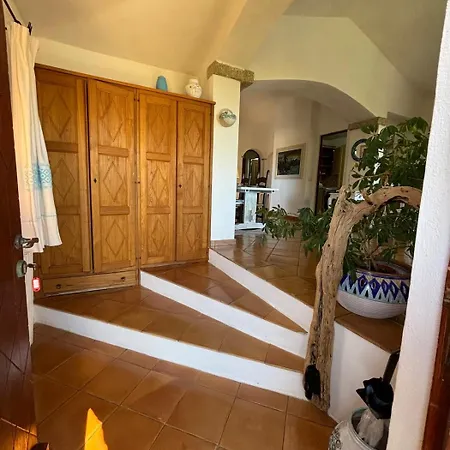 Dany's House